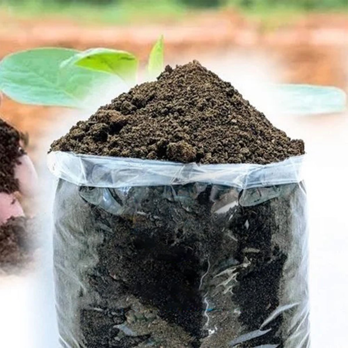 VerMirich Vermicompost (Fertilizer)