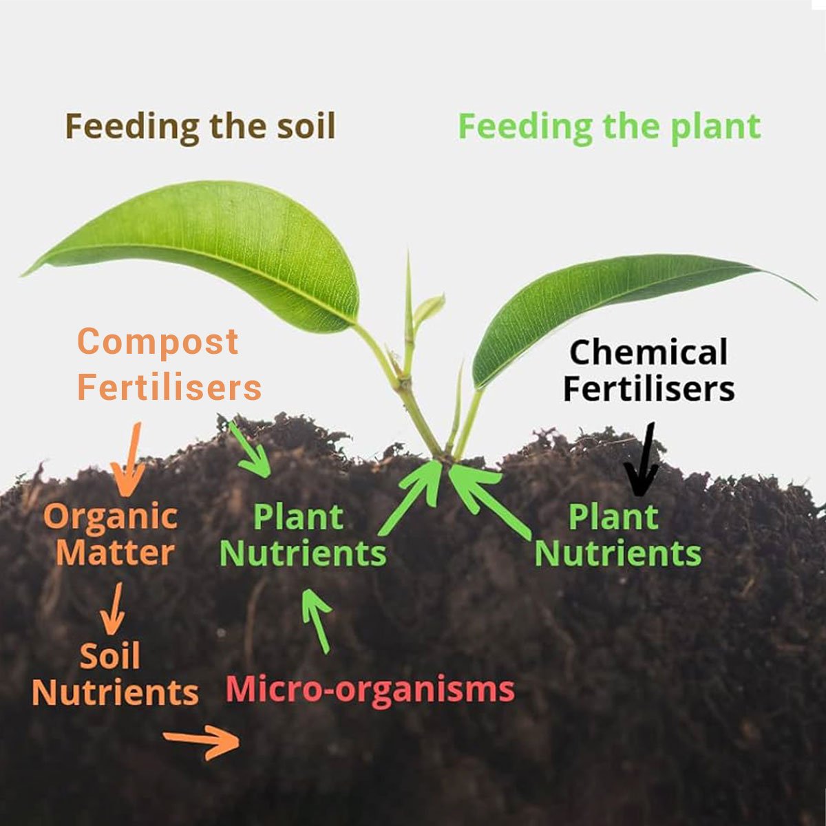 VerMirich Vermicompost (Fertilizer)