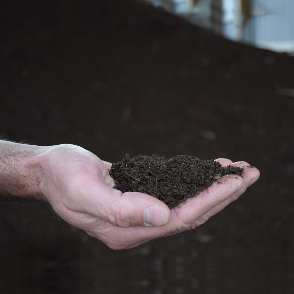 SoilEnrich Cow Dung Manure